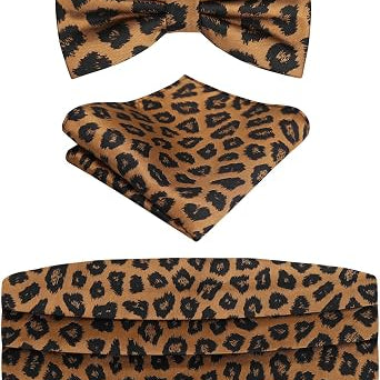 Men's Classic Paisley Woven Self-tied Adjustable Bow Tie, Cummerbund and Pocket Square Set-133