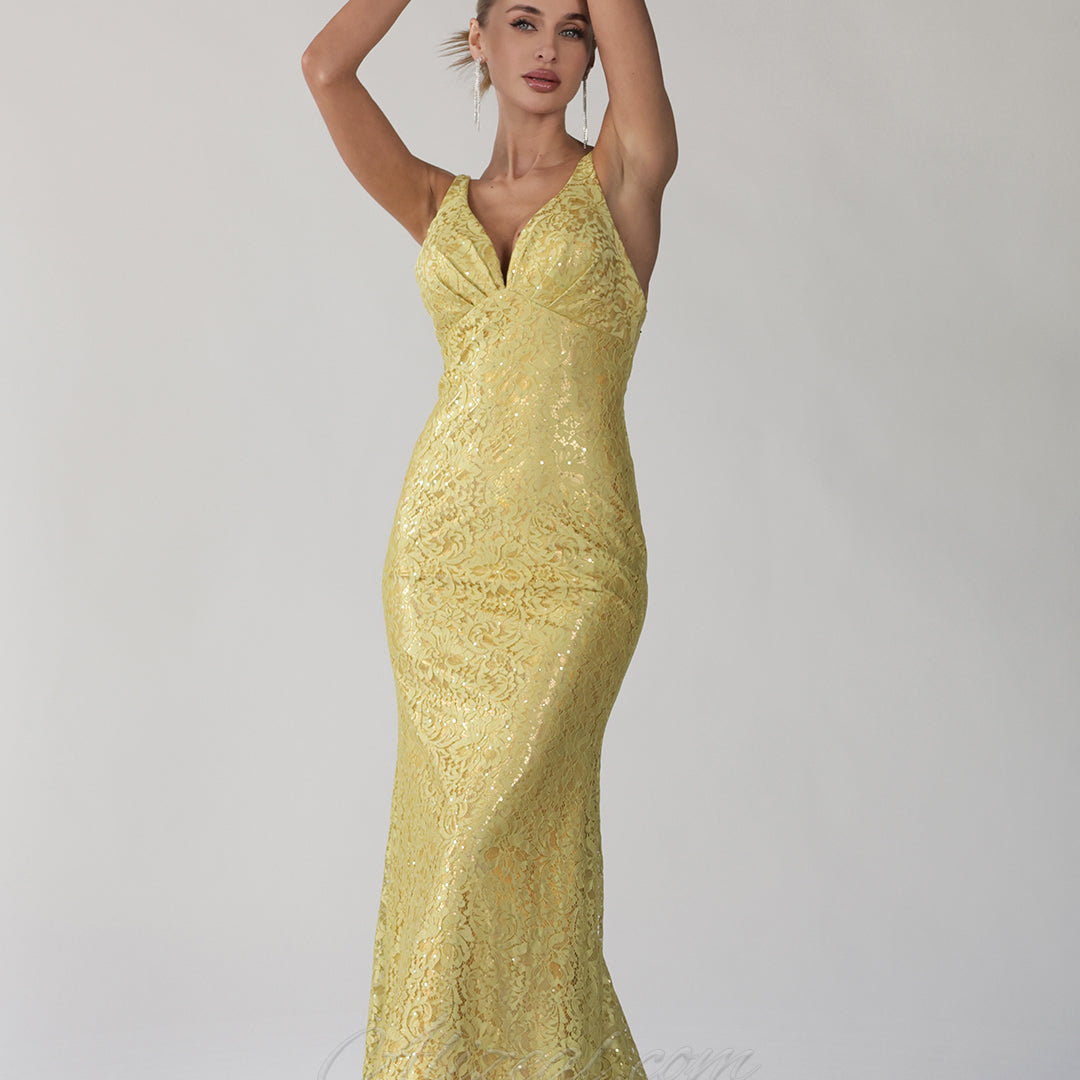 V-Neck Spaghetti Straps Backless Lace Sheath Sweep Train Dress