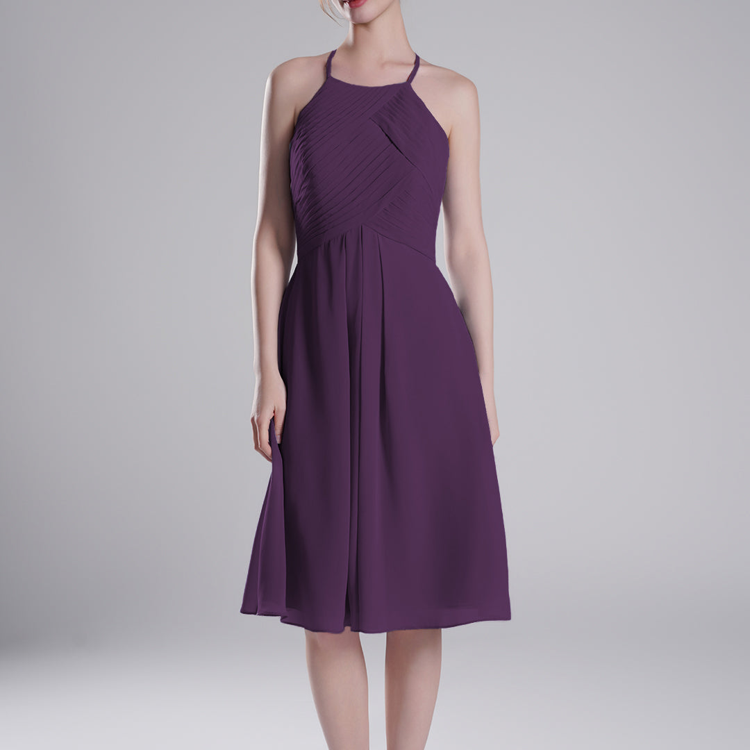 Halter Neckline Pleated Bodice Open Back Mini Dresses