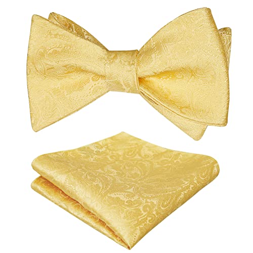 Men's Paisley Jacquard Self Bow Tie Pocket Square Set, 176