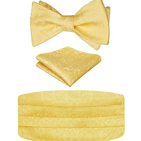 Men's Classic Paisley Woven Self-tied Adjustable Bow Tie, Cummerbund and Pocket Square Set-133