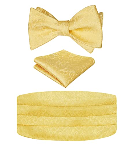 Men's Classic Paisley Woven Self-tied Adjustable Bow Tie, Cummerbund and Pocket Square Set, 133