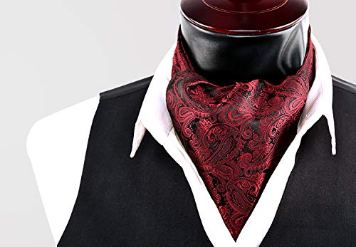 Men's Paisley Ascot Tie Cravat Satin Self Tie and Handkerchief Set, 139