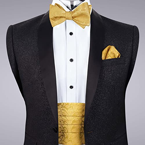 Men's Classic Paisley Woven Self-tied Adjustable Bow Tie, Cummerbund and Pocket Square Set, 133
