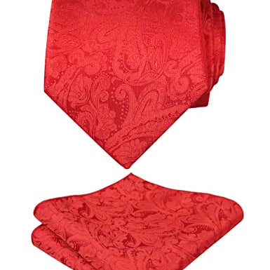 Men's Paisley Floral Tie Handkerchief Casual Set