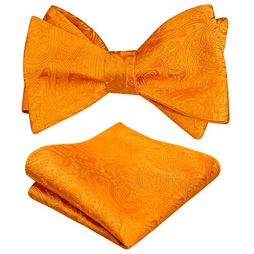 Men's Gradient Color Handmade Paisley Self-tied Wedding Bow Tie and Pocket Square Set #043