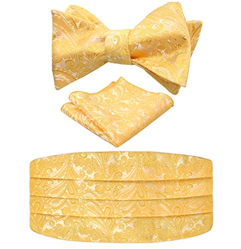 Men's Classic Paisley Woven Self-tied Adjustable Bow Tie, Cummerbund and Pocket Square Set, 133