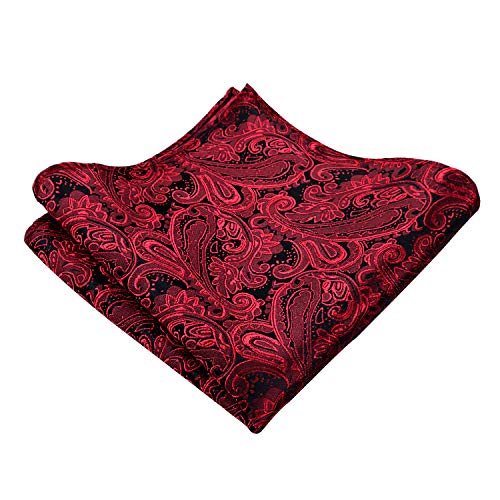 Men's Paisley Ascot Tie Cravat Satin Self Tie and Handkerchief Set, 139