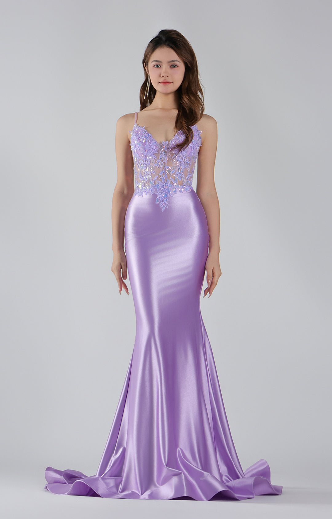 Mermaid Appliqued See Through Pleated Dress