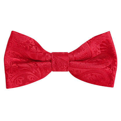 Alizeal Boy's Classic Paisley Bow Tie Pre-tied, 017