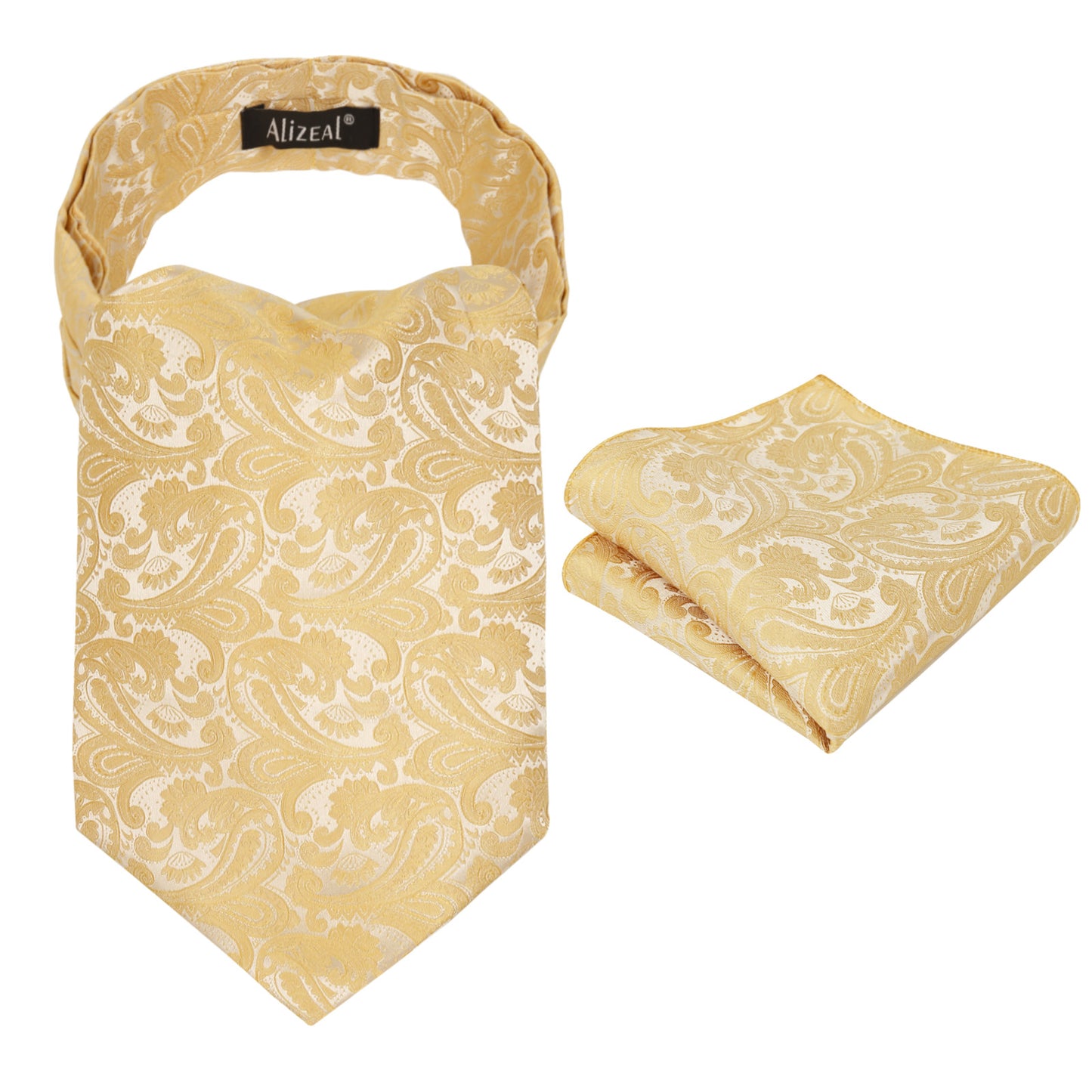Men's Paisley Ascot Tie Cravat Satin Self Tie and Handkerchief Set, 139
