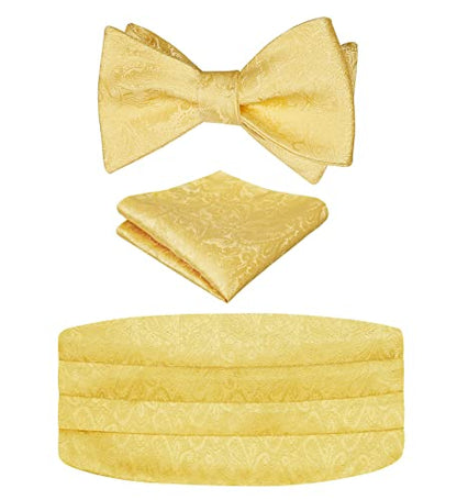 Men's Classic Paisley Woven Self-tied Adjustable Bow Tie, Cummerbund and Pocket Square Set, 133