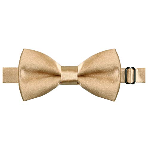 Boy's 2.5cm Elastic 3 Clip Suspender and Bow Tie Set with Hat for Kids, BD047